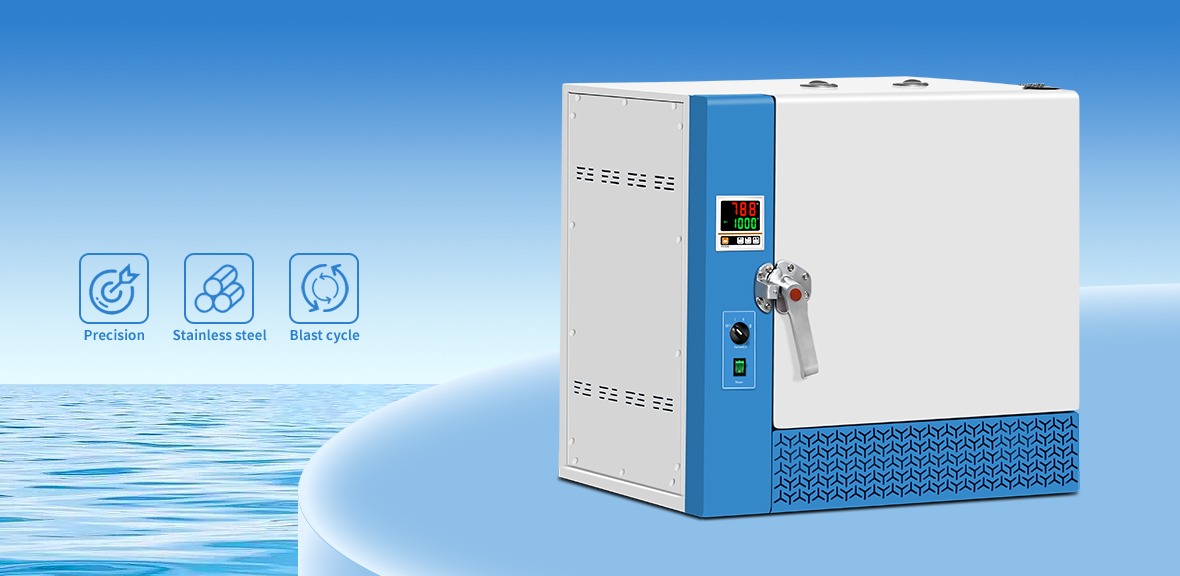 RGW series high temperature drying oven