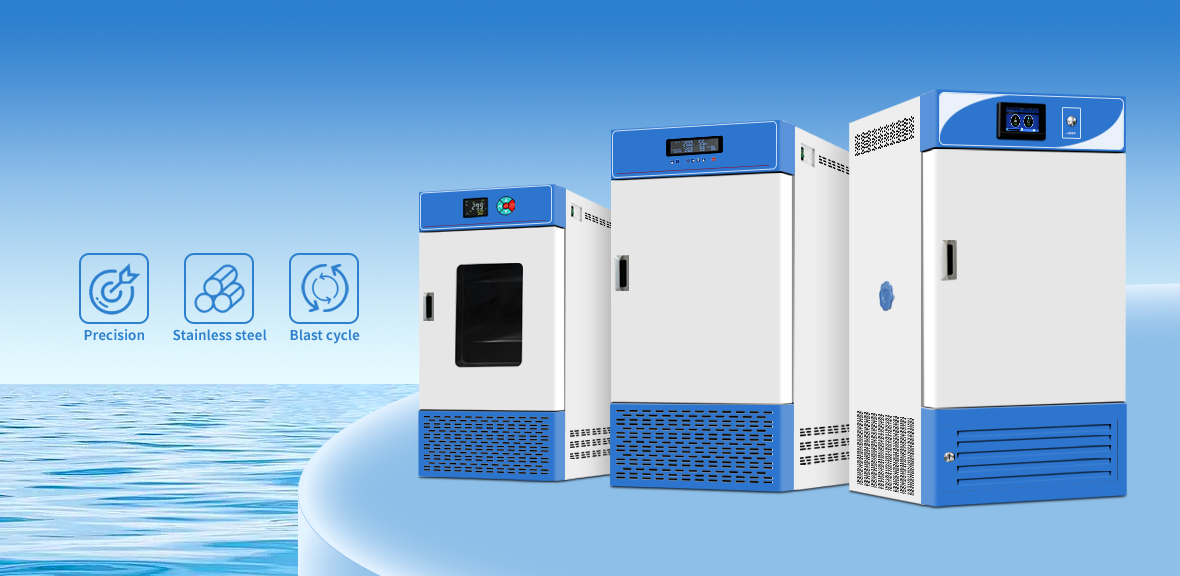 Constant temperature and humidity incubator